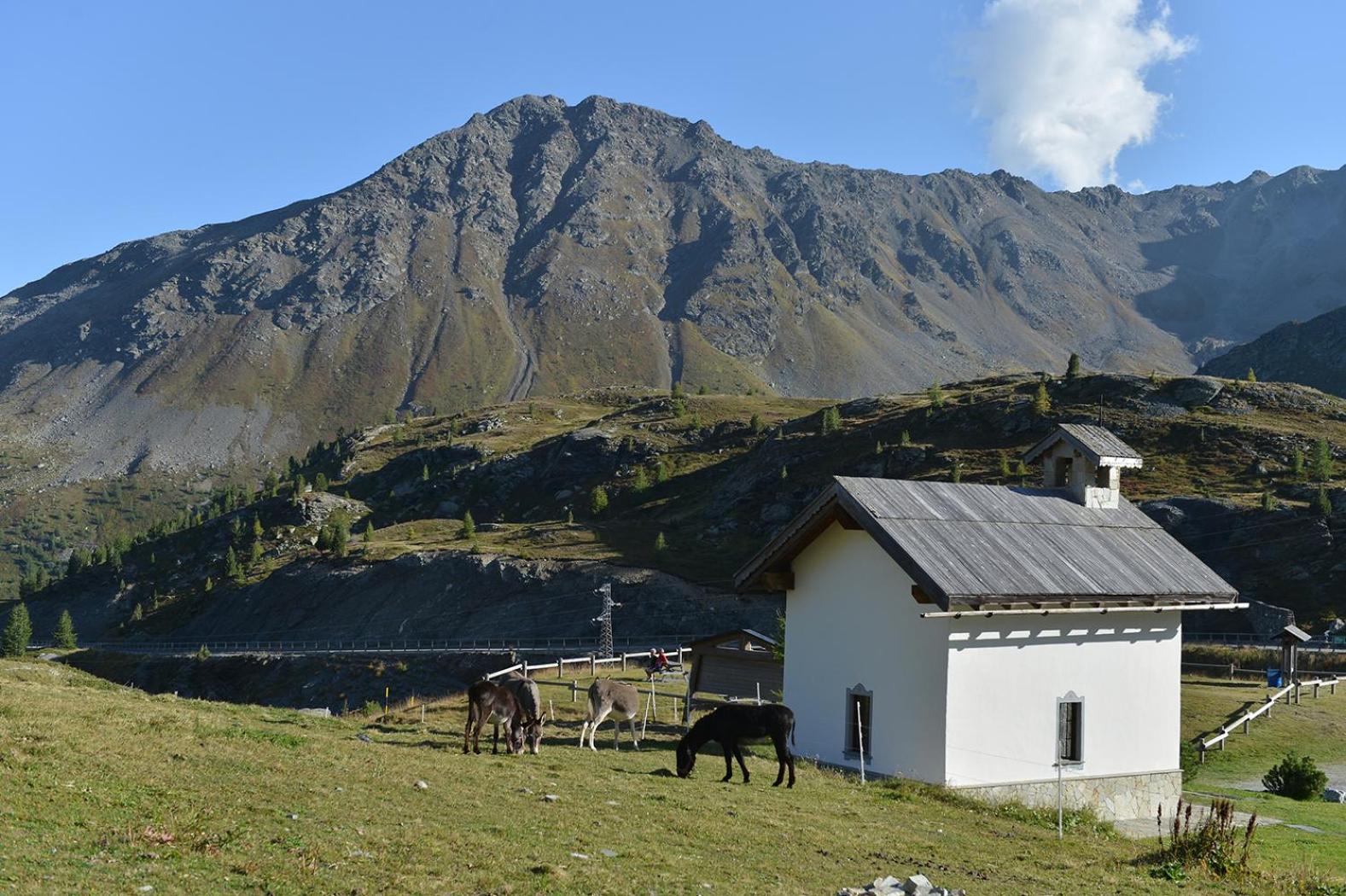 Hotel Interalpen Isolaccia Esterno foto